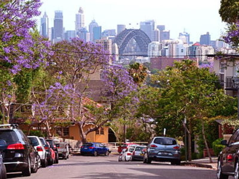 Neutral Bay