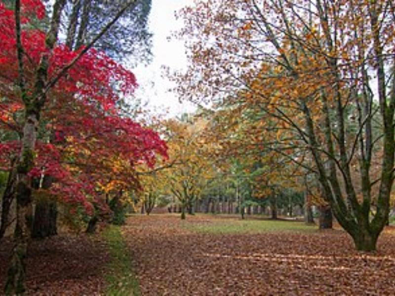 Bligh Park