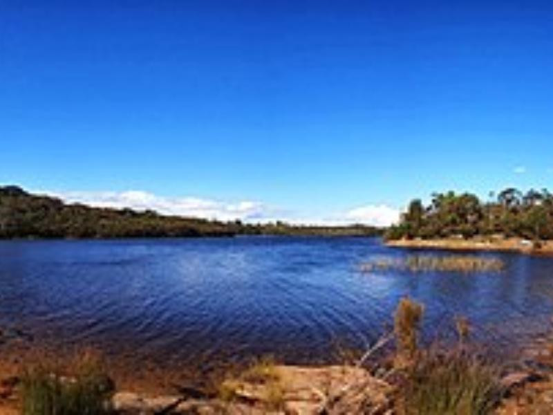 Allambie Heights