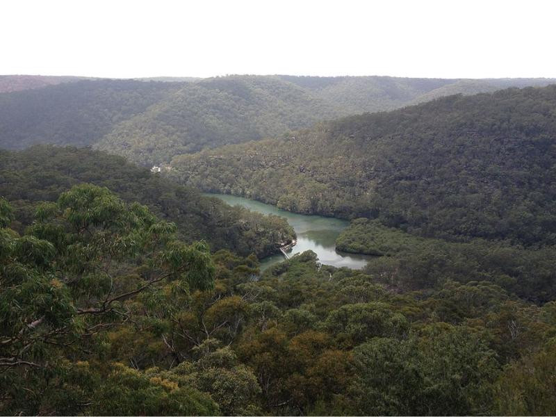 Mount Colah