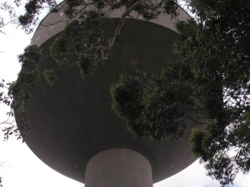 Acacia Gardens
