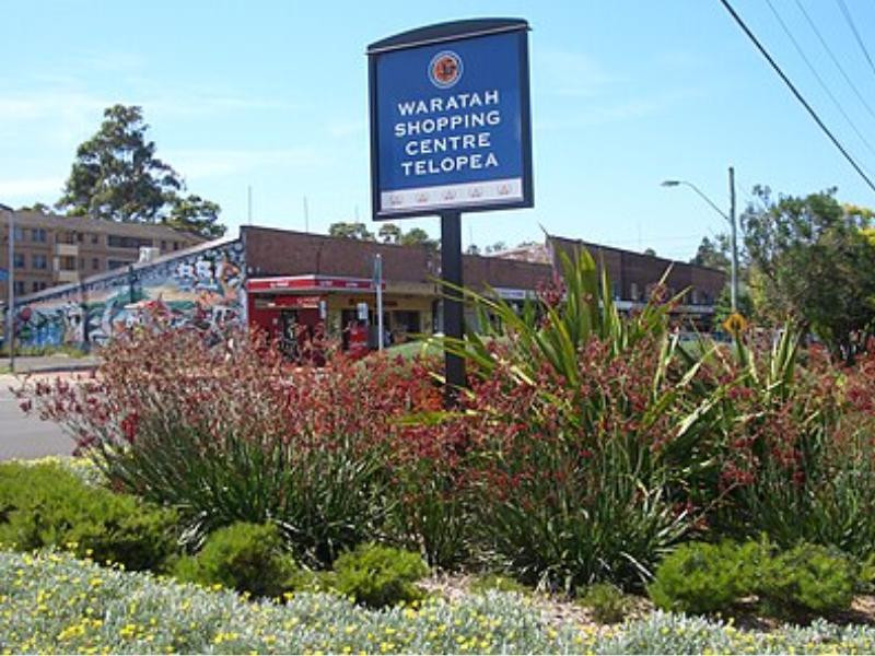Telopea