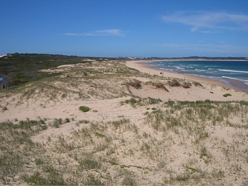 Greenhills Beach