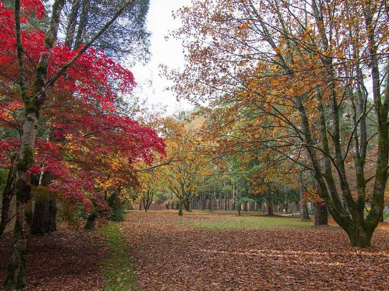 Cambridge Park