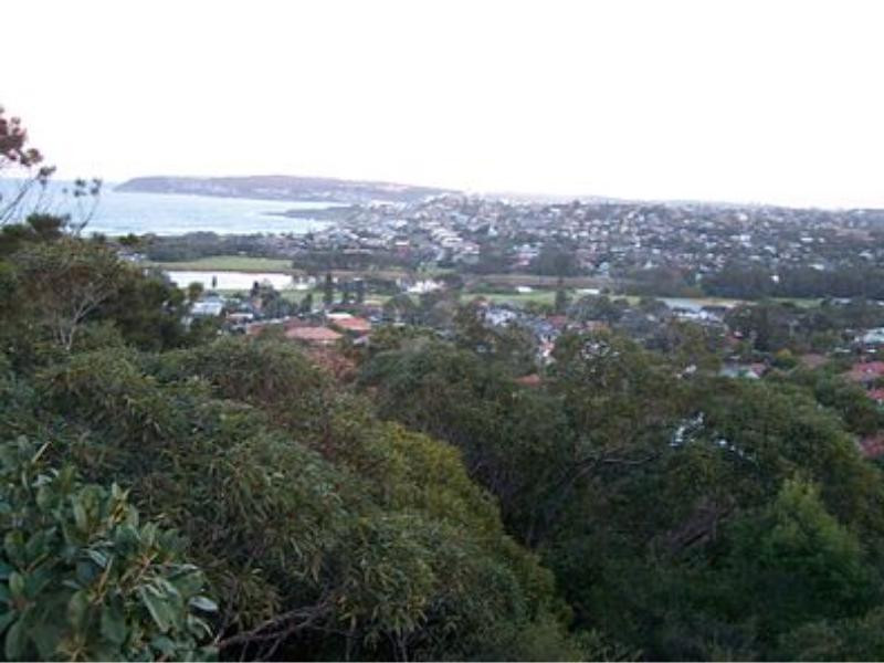 North Curl Curl