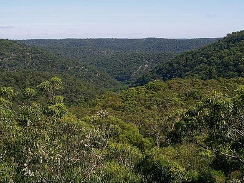 Berowra