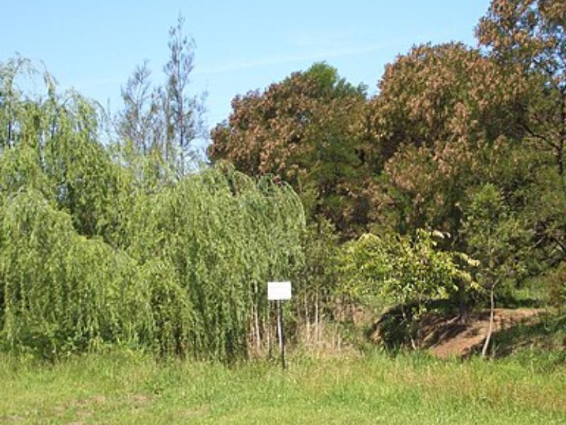 Potts Hill
