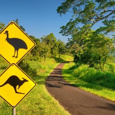 Road Signs in Kirrawee
