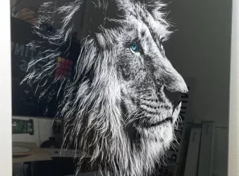 PERSPEX ARTISTIC PANELS