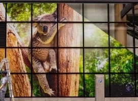 WINDOW DECALS