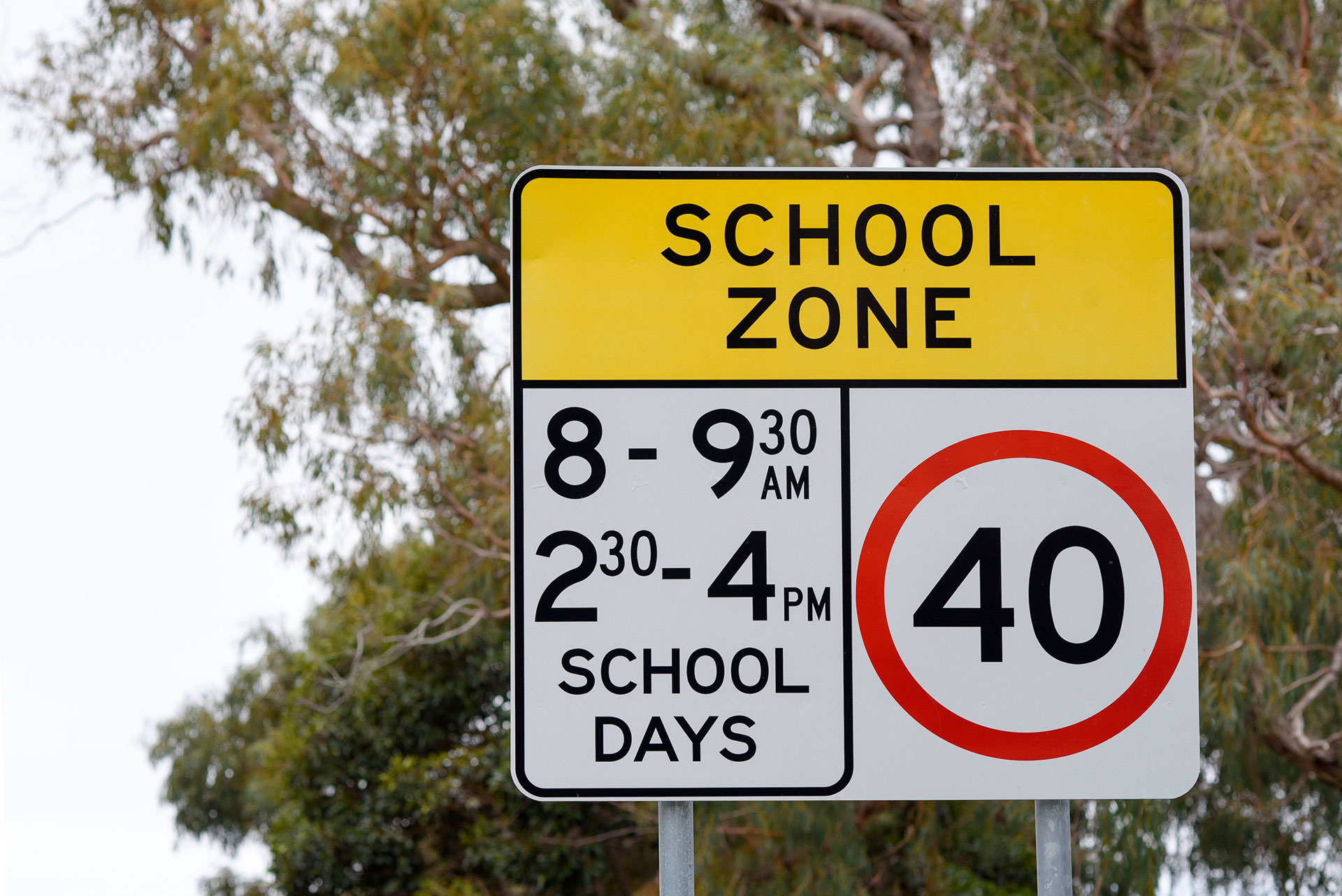 Street Signs